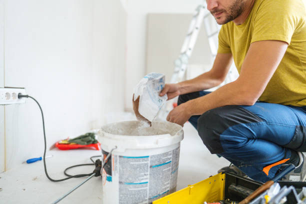 Biohazard Mold Removal in Northchase, NC