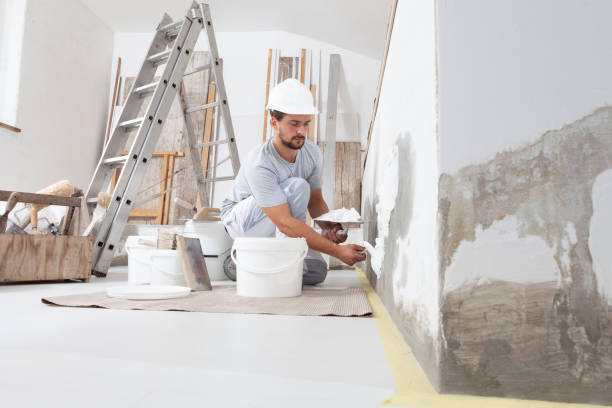 Best Comprehensive Air Testing for Mold Contaminants  in Northchase, NC